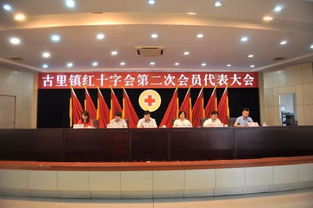 立足新起点 红十字会服务大局的使命与创新